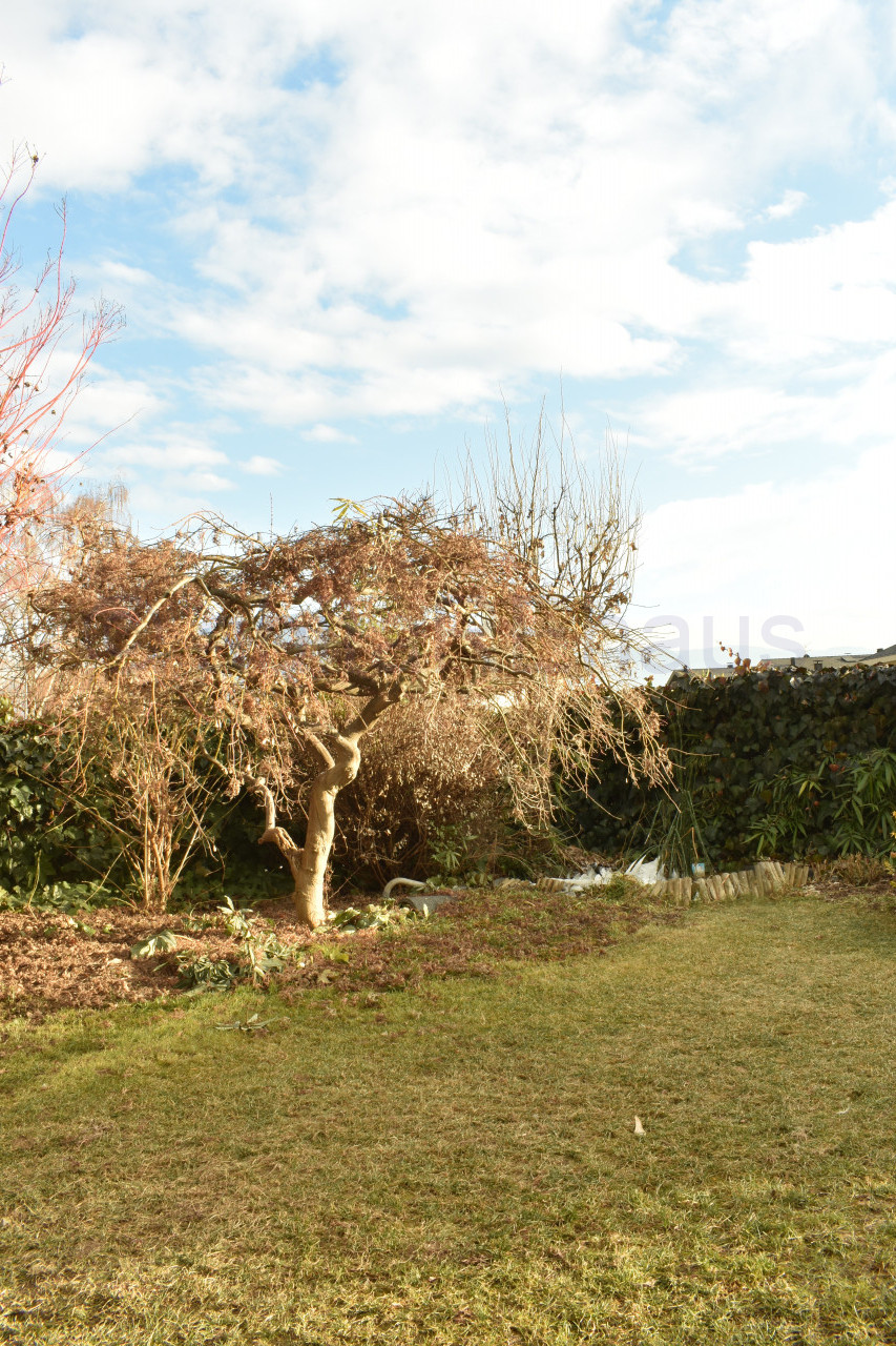 Villetta di testa a Settequerce con giardino privato e vasca idromassaggio AV26001 - Via Stazione